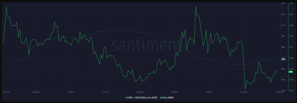 XRP Holders Stack Coins Despite Price Dip: Bullish Signal?