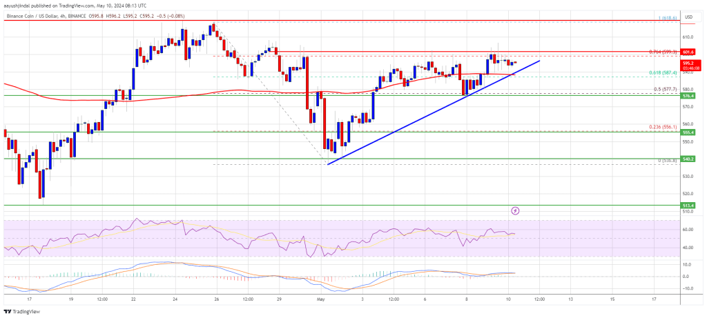 BNB Price Faces Crucial Test: Will $600 Withstand the Pressure?