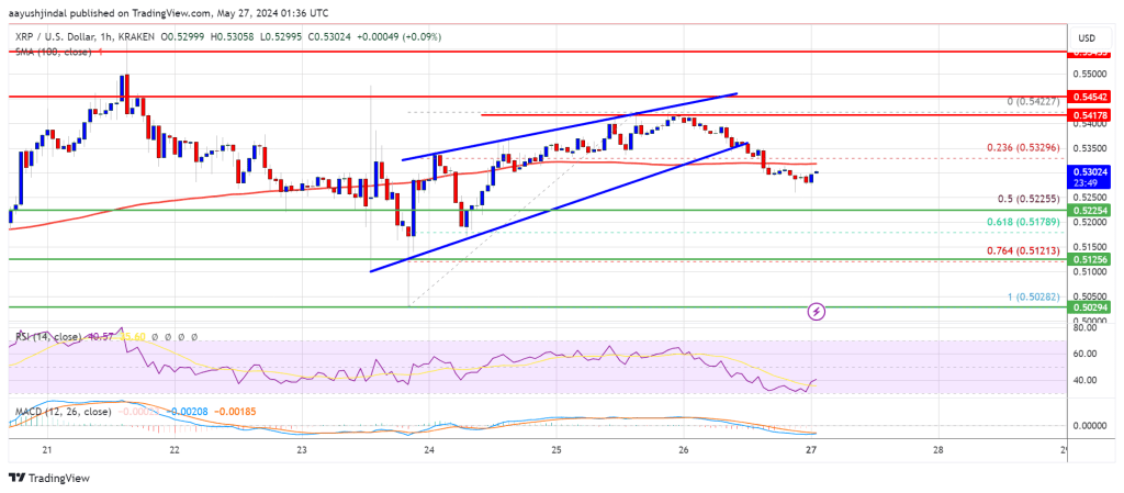 Another Setback or a Buying Opportunity?