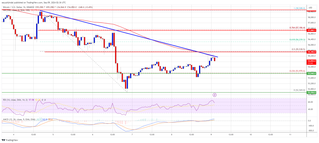 Bitcoin Price Rebounds, But Could the Downtrend Return?